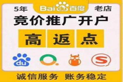 专业sem竞价托管服务，案例解析提升广告效果